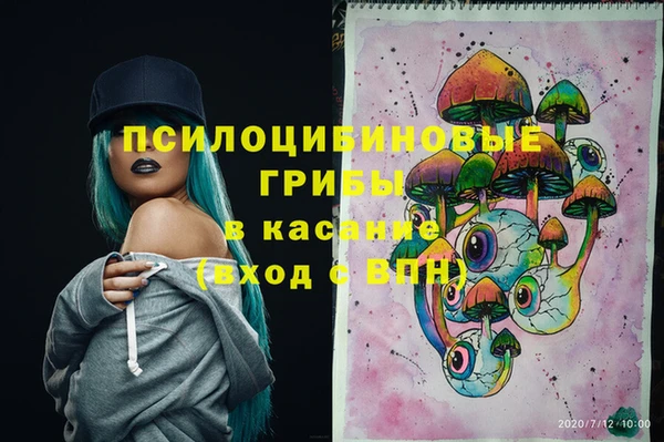 твердый Белокуриха