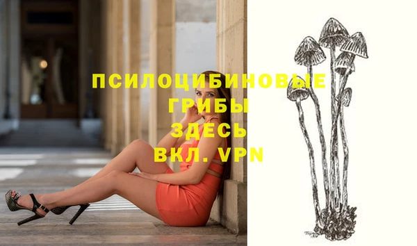 твердый Белокуриха